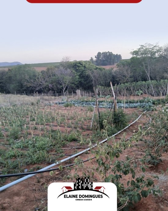 sitio-venda-residencial-ouro-verde-ha-12km-de-piumhi-mg-1039214