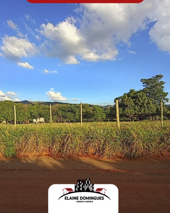 lote-venda-ha-1-5-km-de-piumhi-mg-1046325