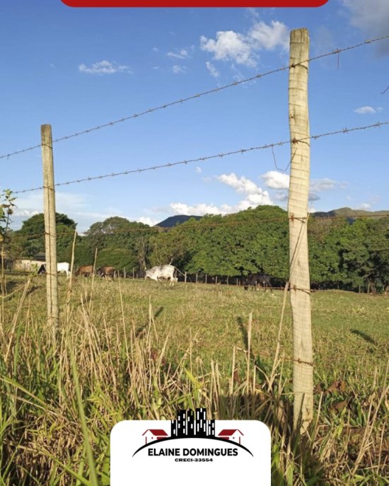 lote-venda-ha-1-5-km-de-piumhi-mg-1046326