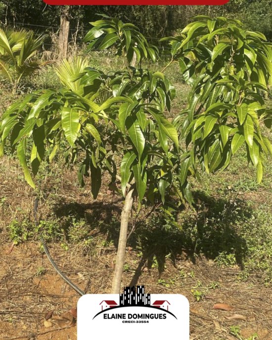 fazenda-venda-em-vargem-bonita-mg-1046358