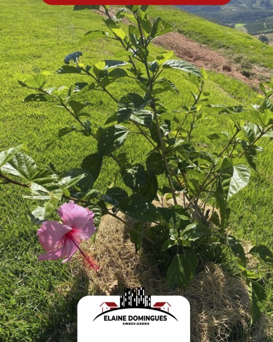 fazenda-venda-em-vargem-bonita-mg-1046359