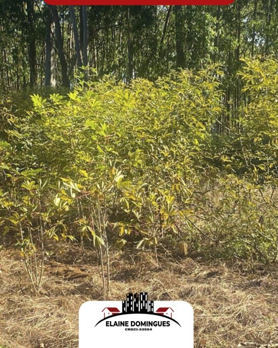 fazenda-venda-em-vargem-bonita-mg-1046363