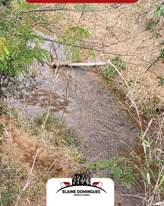 area-venda-2-alqueires-de-terra-em-piumhi-mg-1036657