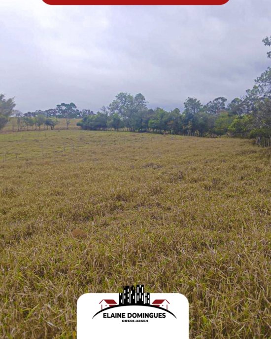 area-venda-2-alqueires-de-terra-em-piumhi-mg-1036659