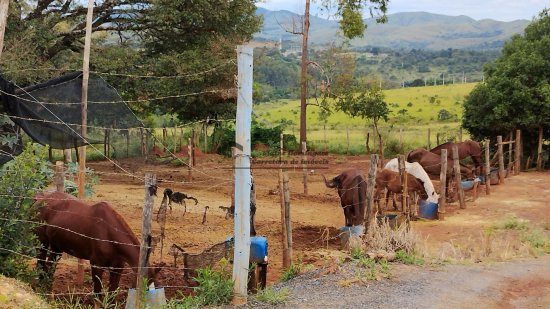 terreno-venda-santo-antonio-686487