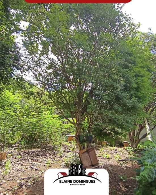 lote-venda-bairro-centro-em-piumhi-mg-1050500