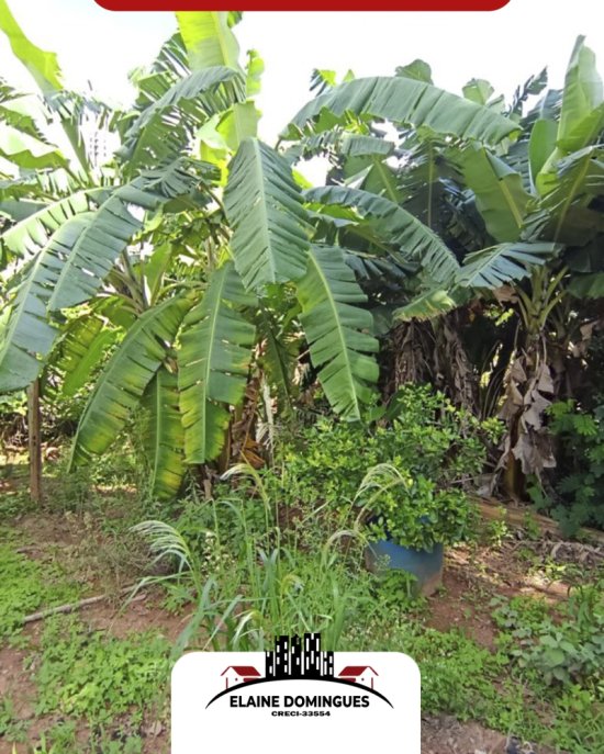 lote-venda-bairro-centro-em-piumhi-mg-1050502