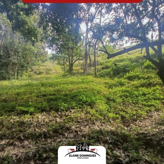 fazenda-venda-19-hectares-de-terra-regiao-de-macauba-1025822