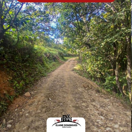 fazenda-venda-19-hectares-de-terra-regiao-de-macauba-1025823