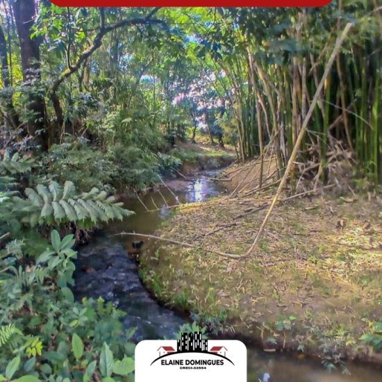 fazenda-venda-19-hectares-de-terra-regiao-de-macauba-1025825