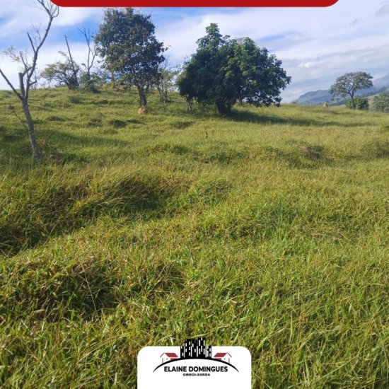 fazenda-venda-19-hectares-de-terra-regiao-de-macauba-1025827