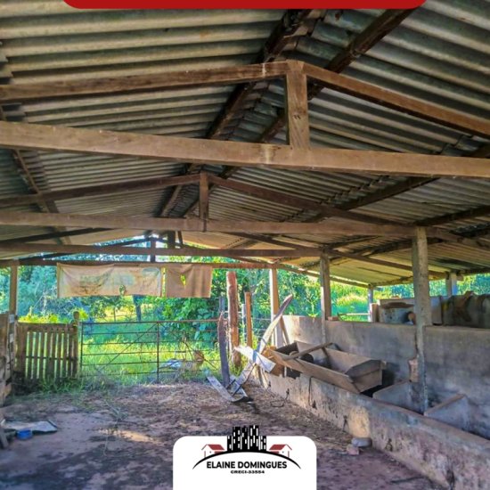 fazenda-venda-regiao-de-campo-alegre-piumhi-mg-1030231