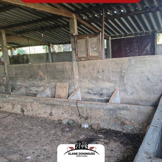 fazenda-venda-regiao-de-campo-alegre-piumhi-mg-1030232